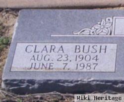 Clara Bell Rasberry Bush