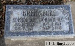 Sophia D. F. Bodenstein Brennecke