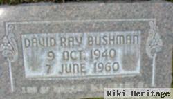 David Ray Bushman