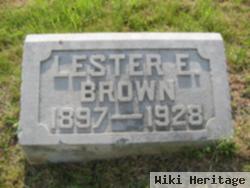 Lester E Brown