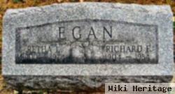 Richard F Egan