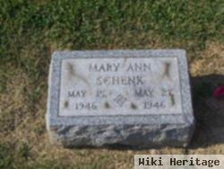 Mary Ann Schenk