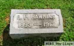 Robert P Hawkins