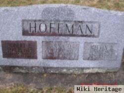 Robert E Hoffman