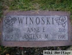 Antena Winoski