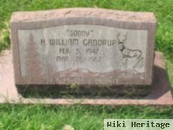 H William "sonny" Gandrup