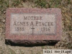 Agnes A. Ptacek