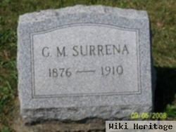 Griffith M. Surrena