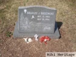 Bradlee J. Breeswine