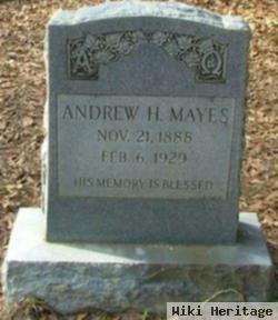 Andrew H Mayes