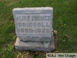 Alice Hughes Driscoll