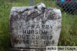 V Harry Hudson