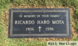 Ricardo Haro Mota