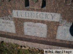 Mischelle L. Lednicky