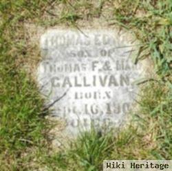 Thomas Edward Gallivan