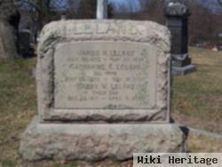 James H Leland