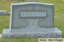 Roy E Bergquist