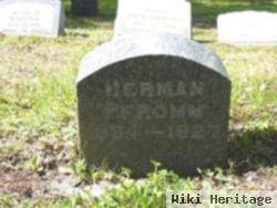 Herman Pfromm