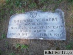 Theodore V Hayry