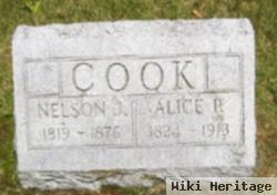 Alice Preston Cook