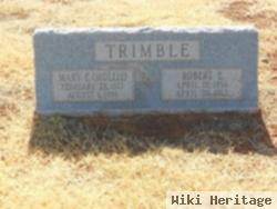 Robert Ewing Trimble