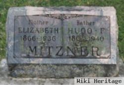 Hugo F. Mitzner