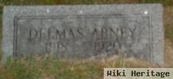 Delmas Abney