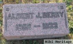 Albert J Berry