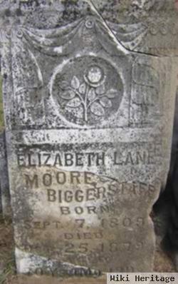 Elizabeth Lane Biggerstaff