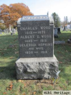 Albert C. Wood