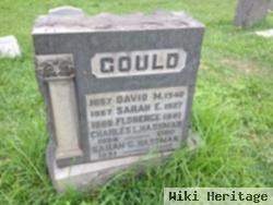 Sarah E Gould