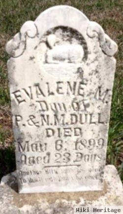 Evalene M. Dull