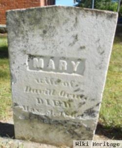 Mary Orne