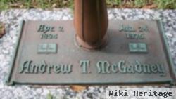 Andrew T Mcgadney