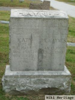 Robert Emmett Haynes