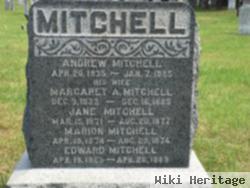 Andrew W Mitchell