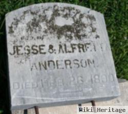 Jesse Anderson