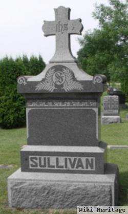 Catherine J Sullivan