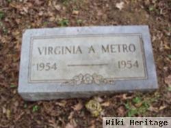Virginia Ann Metro
