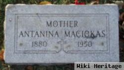 Antanina Maciokas