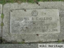 Julius B Calkins