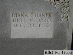 Diana Banks Turner