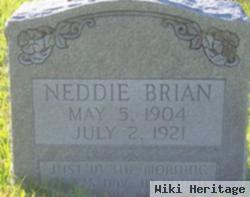 Ned "neddie" Brian