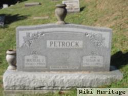 Susan M Petrock