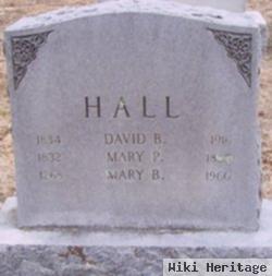 David B Hall