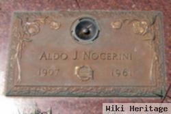 Aldo J. Nocerini