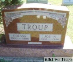 Joe N Troup