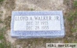 Lloyd A Walker, Jr