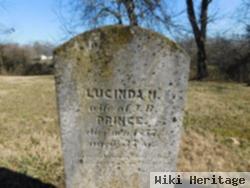 Lucinda M Austin Prince