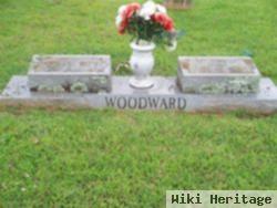 John N Woodward